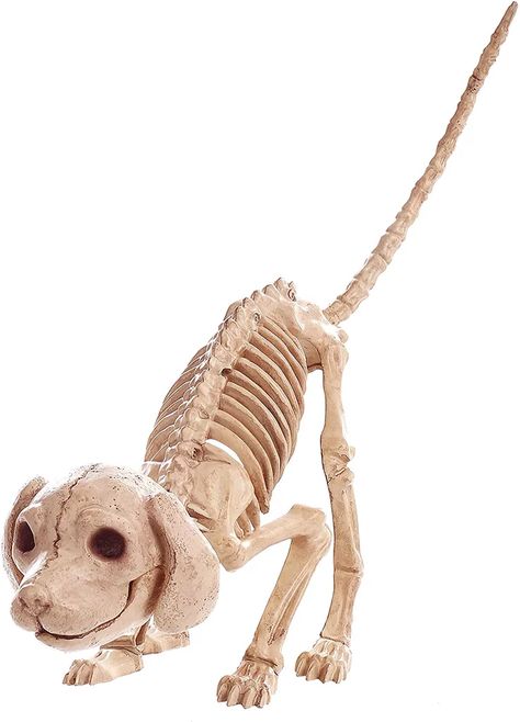 Dog-Skeleton Halloween Decor Dog Skeleton Halloween, Classic Halloween Movies, Skeleton Dog, Dog Skeleton, Tim Burton Movie, Classic Halloween, The Afterlife, Wood Burning Art, Corpse Bride