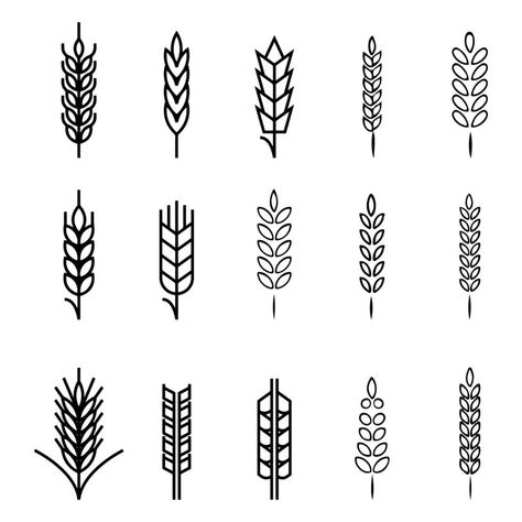 Wheat icons collection. Spikelets of wheat with various shapes, linear icon collection. Wheat Icon Design, Wheat Graphic, Wheat Illustration, Wedding People, Heart Tree, Logo Banners, Cityscape Photos, Icon Collection, Heart With Arrow