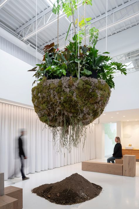 Mason Studio Augments Biophilia in Latest Experimental Installation | Designlines Magazine Biophilic Office Design, Biophilic Office, Indoor Landscaping, Green Roof Building, Mount Royal, Nature Play, Elements Of Nature, Human Relationship, Conceptual Design