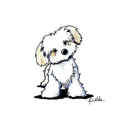 Dog Watercolor Painting, Havanese Dog, Pet Paintings, Puppy Drawing, Happy Painting, Havanese Puppies, Drawing Animals, Havanese Dogs, Cartoon Sketches