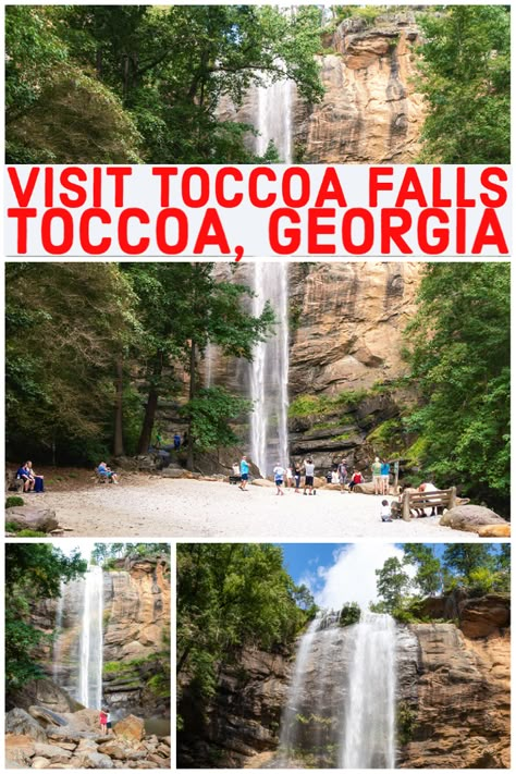 Toccoa Falls Georgia, Georgia Waterfalls, Georgia Bucket List, Toccoa Georgia, Atlanta Vacation, Toccoa Falls, Georgia Travel Guide, Ellijay Georgia, Georgia State Parks