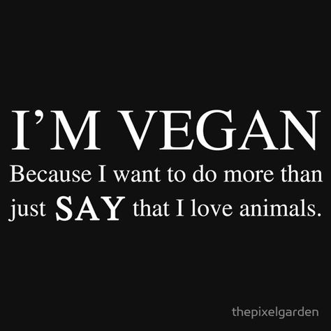 Vegetarian Quotes, Vegan For The Animals, Reasons To Be Vegan, Reasons To Go Vegan, Vegan Facts, Protein Dinner, Vegan Memes, Vegan Quotes, Why Vegan