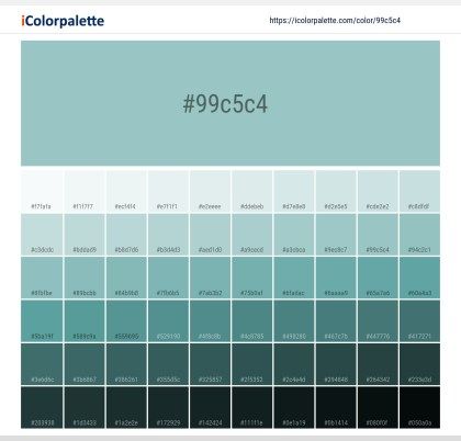 Pantone Color Book, Space Information, Petrol Color, Pantone Color Chart, Hexadecimal Color, Light Sea Green, Hex Color, Beige Color Palette, Pantone Colour Palettes