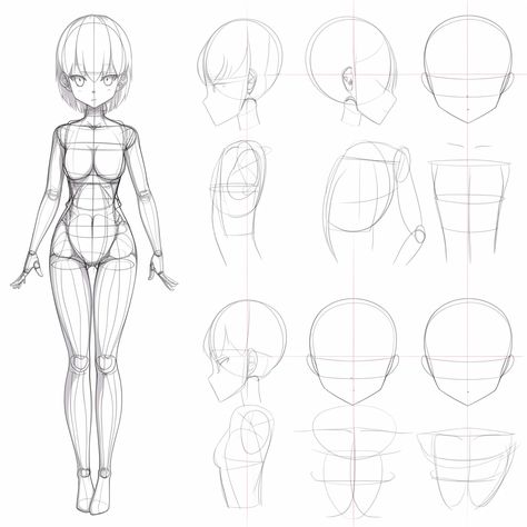 Anime Drawing Guide, Anime For Beginners, Drawing Tips For Beginners, Anime Bodies, Beginner Drawing, Drawing Anime Bodies, How To Draw Anime, Character Personality, Drawing Course