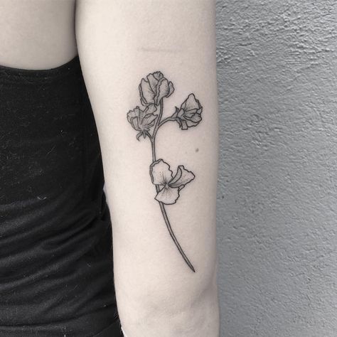 Sweet peas by Jack Poohvis Sweetpea Tattoo, Sweetpea Flower Tattoo, Visual Tattoo, Sweetpea Flower, Sweet Pea Tattoo, Framed Tattoo, Garden Tattoo, Crown Tattoo Design, Bouquet Tattoo