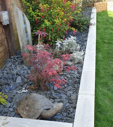 Graphite Grey Slate Chippings 40mm - Decorative Aggregates Slate Stone Landscaping, Blue Slate Garden Ideas, Grey Slate Garden Chippings, Slate Rock Garden, Slate Rocks Landscaping, Slate Chippings Garden Ideas, Slate Chips Landscaping, Slate Rock Landscaping, Slate Garden Ideas