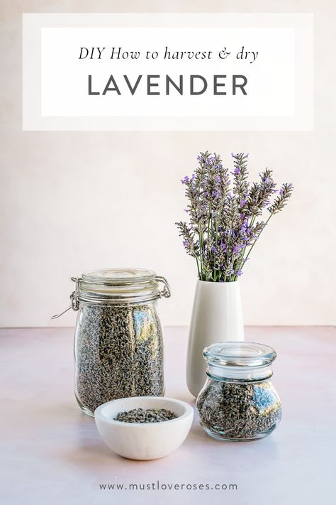 How To Dry Out Fresh Lavender, How To Store Lavender, How To Store Dried Lavender, Dry Lavender Diy, How To Dry Lavender For Tea, What To Do With Dry Lavender, Diy Lavender Sachet, Things To Do With Fresh Lavender, How To Dry Lavender Leaves