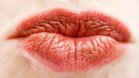 Kissing Facts, Chapped Lips, Body Language, Disease, Did You Know, You Never, Fun Facts, The Balm, Kiss