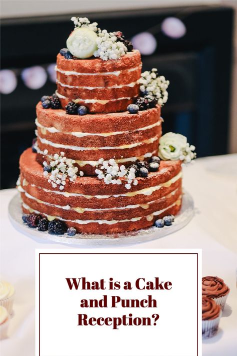 Cake And Punch Wedding Reception Ideas, Cake Reception Only, Brunch Wedding Cake Ideas, Cake And Punch Reception, Cake And Punch Wedding Reception, Wedding Desserts Other Than Cake, Grooms Cake Ideas Simple, Casual Wedding Reception, Coffee Punch