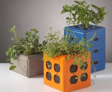 An Electrical Outlet Planter | Community Post: 30 Awesome DIY Planters To Restore Your Faith In Gardening Diy Upcycled Planters, Desktop Planter, Upcycled Planter, Unique Planters, Creative Planter, Diy Flower Pots, Herb Planters, Diy Planters, Switch Plate Covers