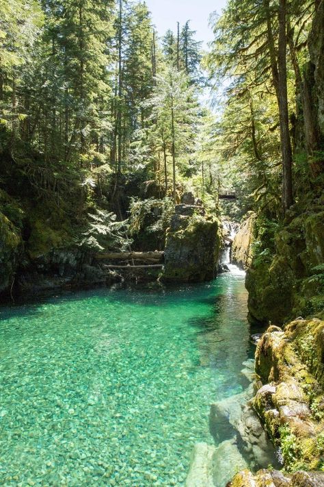 Last weekend, my family and I had the opportunity to hike in the Opal Creek Scenic Area and Wilderness. It is located east of Salem, in the Willamette National Forest. Opal Creek runs through thousands of acres of protected old growth forest, crisscrossed with over 30 miles of hiking trails. Opal Creek Oregon, Old Growth Forest, Oregon Road Trip, Halong Bay, Destin Florida, Oregon Travel, Destination Voyage, Zion National Park, Pretty Places