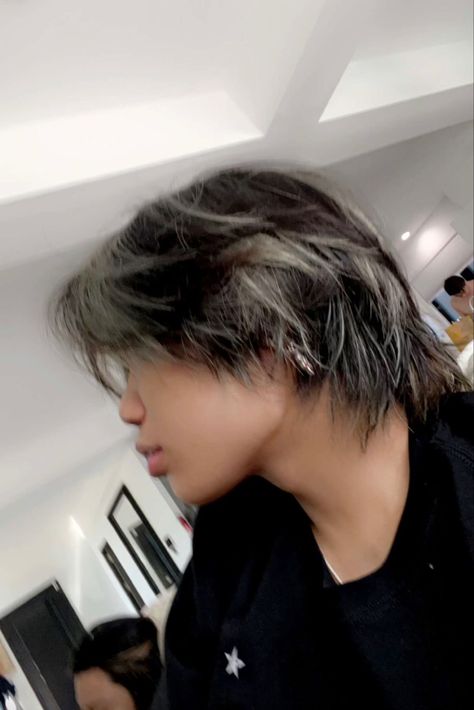 Black Hair With White Highlights Men, Dark Brown Hair With White Streak, Silver Highlights Men, Silver Hair Highlights Men, Highlights Men, Black And Silver Hair, Silver Hair Men, Justin Phan, Gray Highlights