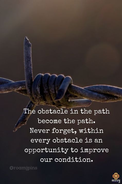 The Obstacle Is The Way Quotes, Positive Vision Board, Our Path, Never Forget, Vision Board, The Way, Inspirational Quotes, Conditioner, Quotes