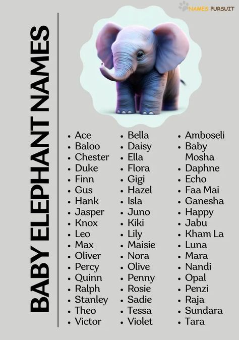 Discover a collection of endearing names perfect for baby elephants! 🐘🍼 Whether you're celebrating a new addition at a zoo, writing a charming tale, or simply adore these gentle giants, these names will melt your heart. Pin and share with those who love the magic of baby animals! #BabyElephantNames #TinyTuskers Stuffed Animal Names, Cute Pet Names, Names Cute, Baby Elephants, Funny Names, Heart Pin, Gentle Giant, Stuffed Toy, Cool Names