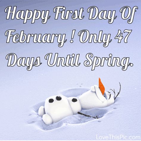 February Quotes Funny, Olaf Gif, Happy First Day Of February, First Day Of February, Cold Weather Funny, Hello February Quotes, Cute Morning Quotes, Message For Brother, Welcome February