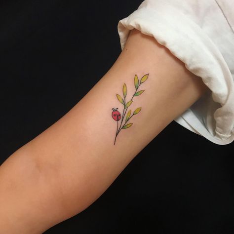 Ladybird Tattoo, Easy Tattoos To Draw, Ladybug Tattoo, Pretty Flower Tattoos, Small Girly Tattoos, Lady Bug Tattoo, Matching Sister Tattoos, Boho Tattoos, Bug Tattoo