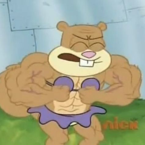 sandy cheeks Wet Meme, Sandy Cheeks Spongebob, Sandy Spongebob, Reaction Stickers, Spongebob Sandy, Mommy Memes, Spongebob And Sandy, Spongebob Pics, Muscle Mommy