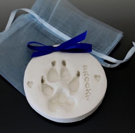 Paw Print Ornament, Puppy Paw Prints, Puppy Paw, Diy Dog Toys, Pet Keepsake, Pet Remembrance, Dog Nose, Custom Memorial, Dog Crafts