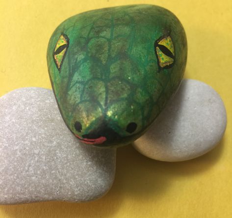 Painted rock snake Rock Painting Snake Head, Rock Snake Garden, Painted Rock Snakes, Rock Snake Head, Painted Rock Snake Ideas, Snake Rock Painting Ideas, Snake Head Painted Rock, Rock Snake Painting, Painted Rock Snake