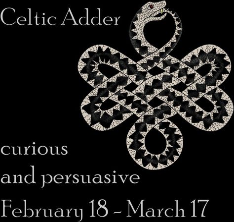 Celtic Adder Adder Snake, Celtic Animals, Snake Drawing, Celtic Symbols, Creature Drawings, Celtic Art, Historical Costume, Sleeve Tattoos, Painting & Drawing