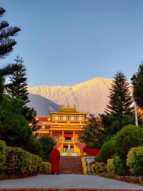 A beautiful view of dharamshala monestry Beautiful View, Aesthetic Backgrounds, Travel Pictures, Vision Board, India, Collage, Travel, Quick Saves, Beauty