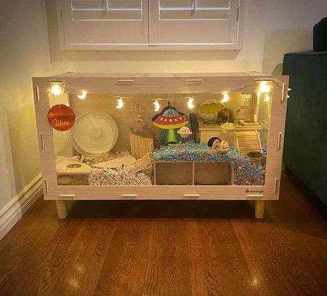 Beginner Hamster Cage, Modern Hamster Cage, Hamster Home Ideas, Simple Hamster Cage Ideas, Preppy Hamster Cage, Hedgehog Homes Ideas, Diy Hamster Cage Homemade, Cute Hamster Cage Ideas, Teddy Bear Hamster Cage Ideas