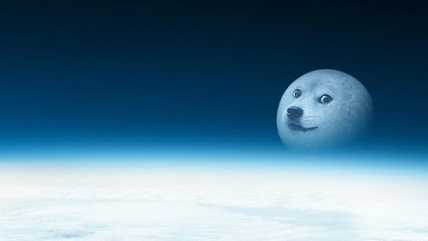 very moon | Doge | Know Your Meme Funny Computer Backgrounds, Funny Computer Wallpaper, Zoom Wallpaper, 2000s Wallpaper, 컴퓨터 배경화면, Meme Background, Doge Meme, 2560x1440 Wallpaper, Pc Wallpapers