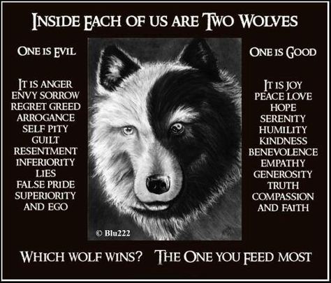 Which Wolf Wins?  The One You Feed Most.   #Iam4Humankind The One You Feed, Indian Legends, American Quotes, Native American Wisdom, Two Wolves, American Story, Native American Quotes, Wolf Quotes, Self Pity