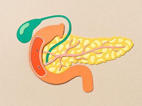 Exocrine Pancreatic Insufficiency, Pancreatic Insufficiency, Poor Digestion, Primary Care Doctor, Digestive Tract, Cleveland Clinic, Workout Moves, Aids Hiv, School Of Medicine