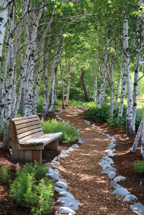 29 Secret Garden Ideas for a Magical Outdoor Escape 25 Silver Birch Garden, Birch Tree Garden, Calm Garden, Birch Trees Garden, Contemplative Space, Secret Garden Ideas, Silver Birch Tree, Ethereal Landscape, Backyard Kids