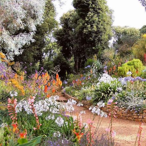 Abbotsbury Subtropical Gardens Subtropical Garden, Bloomsbury Group Art, The Bloomsbury Group, Aburi Botanical Gardens, Sissinghurst Garden, Cranbourne Botanical Gardens, Valley View, Exotic Plants, Garden Wall