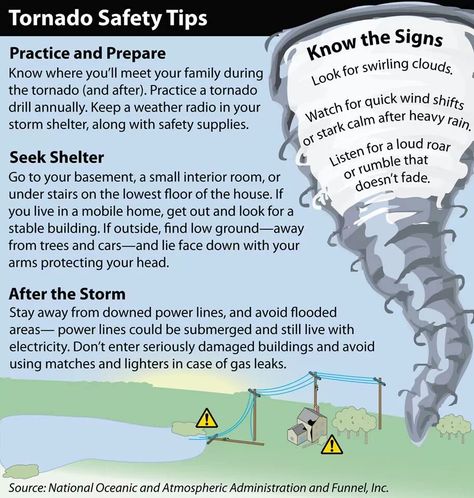 Tornado Safety Tornado Safety Tips, Tornado Preparedness, Tornado Safety, Weather Science, Science Fair Projects, Weather And Climate, Disaster Preparedness, Emergency Prepping, Homeschool Science