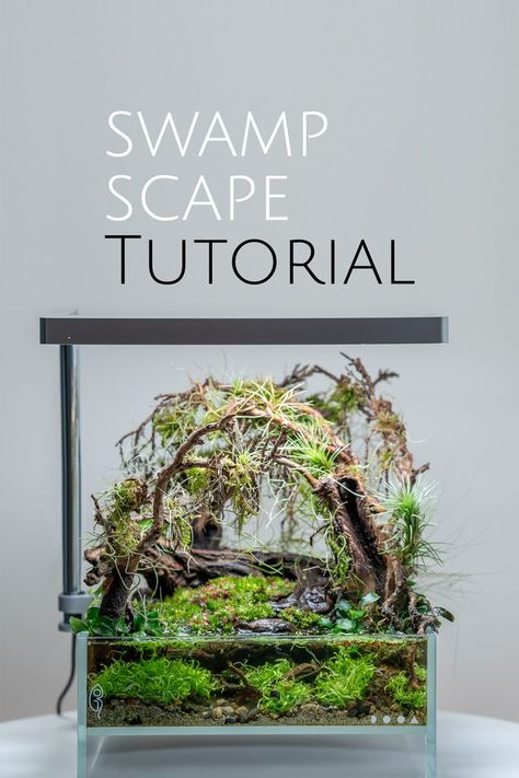 Biotope Aquarium, Advertising Video, Aquascape Design, Beautiful Terrariums, Fresh Water Fish Tank, Diy Aquarium, Aquarium Landscape, Nature Aquarium, Aquascape Aquarium