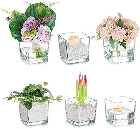 Modern Vases for Decor: The minimalist look of cubes making these small flower vases the most effective decor for almost all occasions. They are perfect-sized clear vases for centerpieces to display short-stemmed cut flowers or plant cuttings in an attractive way, adding a simple but elegant touch to your table Small Flower Vases, Centerpiece Vases, Vases For Centerpieces, Square Glass Vase, Floating Decorations, Glass Vases Centerpieces, Wedding Dining, Large Glass Vase, Modern Vases