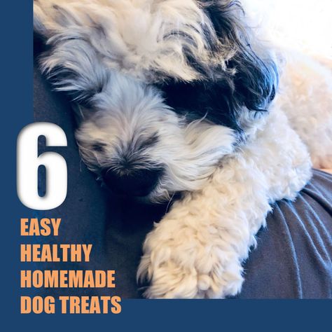 Homemade Dog Treats Recipes, Dog Treats Recipes, Easy Homemade Dog Treats, Healthy Dog Snacks, Chicken Baby Food, Baby Carrot Recipes, Low Carb Healthy, Dog Treats Homemade Easy, Natural Pet Care