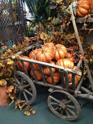 Pumpkin Cart, Pumpkin Wagon, Goat Cart, Pumpkin Cottage, Wheelbarrows, Wooden Wagon, Garden Cart, Primitive Fall, Fall Deco