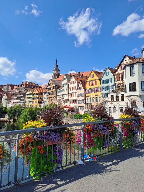 City Tree, Nature City, Germany Vacation, Tree Flowers, Vacation Homes, Bavaria, Vacation Rentals, Domain Name, Germany