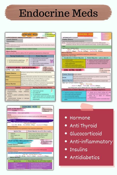 Medication Nursing, Endocrine Nursing, Nursing Student Notes, Notes Nursing, Nursing Pharmacology, Student Notes, Nurse Study Notes, Pharmacology Nursing, Nursing School Survival