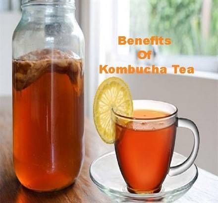 10 Best Health Benefits of Kombucha Tea Will Convince You to Try it Now! Benefits Of Kombucha, Jun Kombucha, Kombucha Benefits, Kombucha Recipe, Homemade Kombucha, Kombucha Tea, Keto Diet Breakfast, Fermented Drink, Pregnancy Nutrition