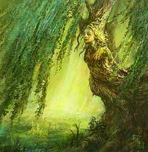 Spider Pictures, Nature Spirits, Mythical Creatures Art, Fantasy Illustration, Magical Creatures, Fantasy Artwork, Tree Art, Types Of Art, Creature Art