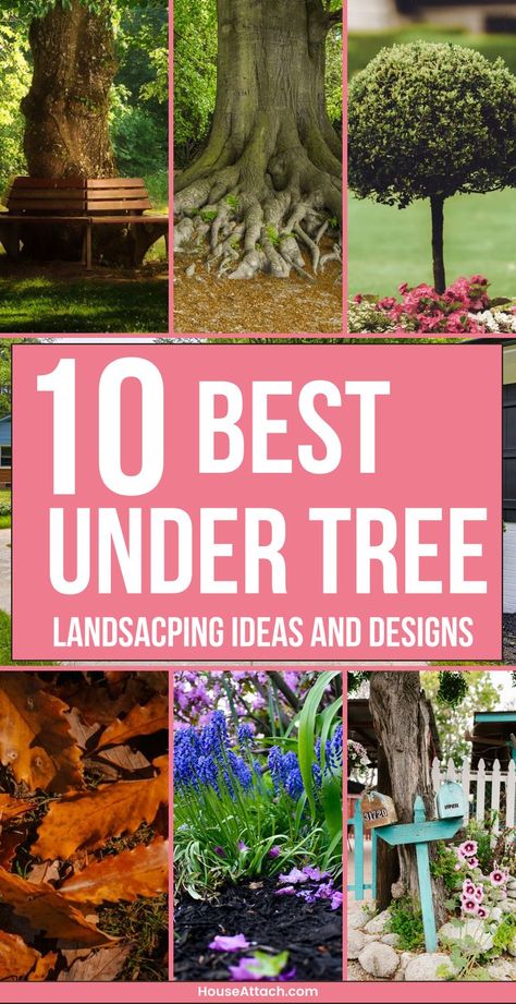 under tree landscaping ideas Plants Under Trees Ideas, Under Tree Landscaping Ideas, Under Tree Landscaping, Large Yard Landscaping Ideas, Garden Ideas Under Trees, Tree Landscaping Ideas, Large Yard Landscaping, Tree Landscaping, Creative Landscaping