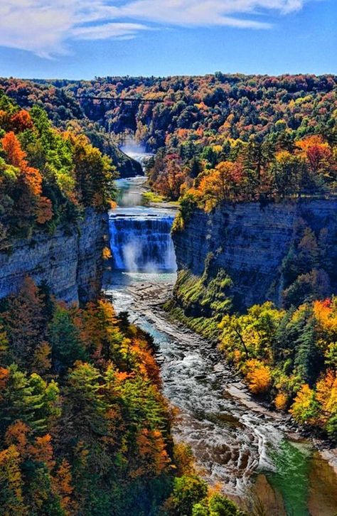 For an unforgettable view of fall foliage in the Finger Lakes, visit one of the area's many  parks or forests. See In, Letchworth State Park, Image Nature, Upstate Ny, Beautiful Waterfalls, Vacation Ideas, Fall Foliage, Scenic Views, Amazing Nature