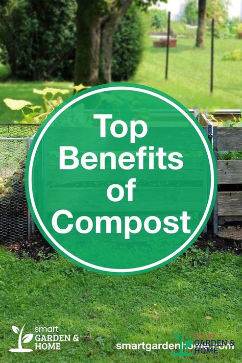 Composting is an amazing way to recycle food scraps into nutrient-rich soil. It also helps keep your garden healthy and pest free. So what are the other Benefits of Composting? https://smartgardenhome.com/gardening-how-to/compost/benefits/?utm_source=pinterest&utm_medium=smartgardenhome&utm_campaign=publer #compostingbenefits #compost Nutrient Cycle, Composting 101, Composting Process, Reduce Your Carbon Footprint, Compost Tea, Composting At Home, Smart Garden, Food Scraps, Soil Layers