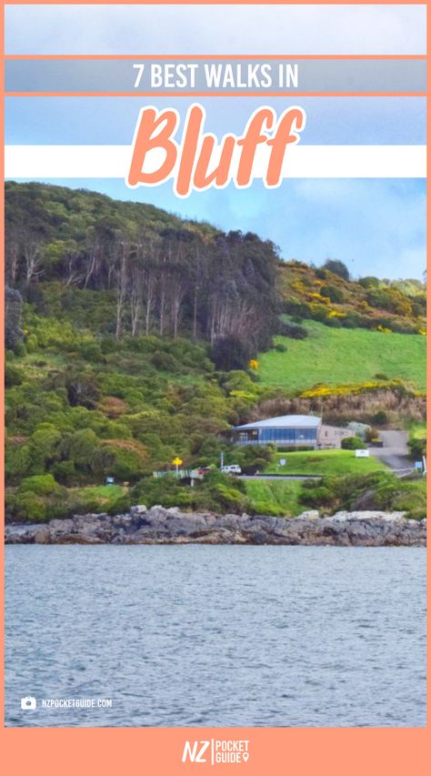 7 Best Walks in Bluff Bluff New Zealand, New Zealand, Hiking, Walking