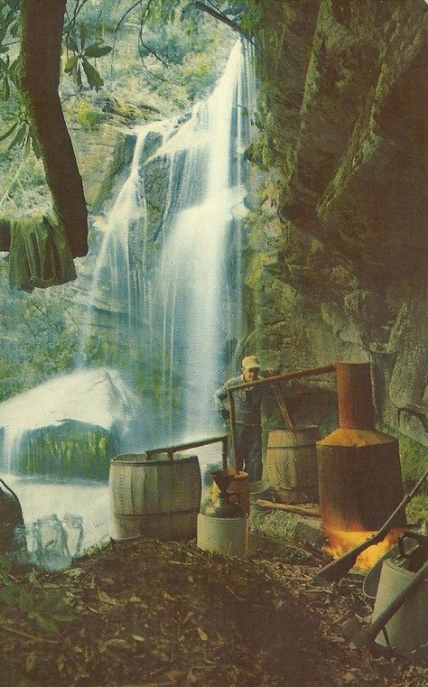 Southern Appalachian Mountains people making corn liquor or "Moonshine" Making Moonshine, Moonshine Still, Vintage Postcards Travel, Southern Pride, Cabin Art, Pot Still, Appalachian Mountains, Garden Fountains, Cabin Ideas