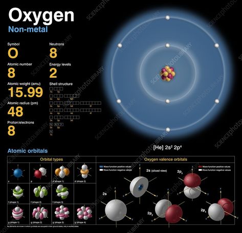 Oxygen, atomic structure - Stock Image - C018/3689 - Science Photo Library Alkaline Earth Metals, Neon Art Print, Science Infographics, Wave Function, Noble Gas, Chemistry Education, Electron Configuration, Atomic Number, Atomic Structure