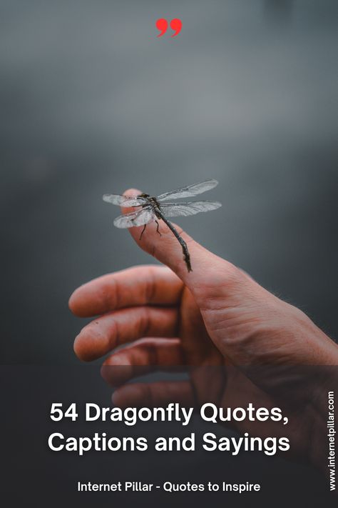 54 Dragonfly Quotes Dragonfly Quotes Strength, Dragon Fly Quotes Inspiration, Dragonfly Quotes Angels, Dragonfly Tattoo With Quote, Dragonfly Sayings Quotes, Quotes About Dragonflies, Dragonfly Quotes Inspiration Sayings, Dragonfly Quotes Inspiration, Dragonfly Sayings