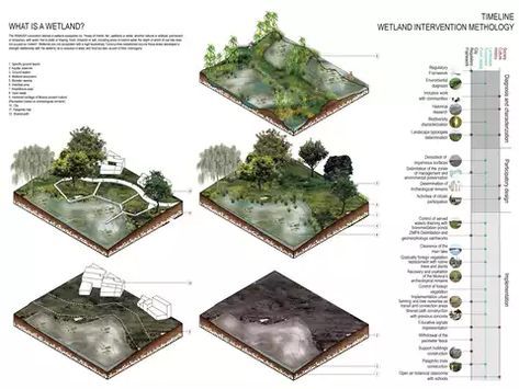 What Is Landscape Architecture, Sponge City, Urban Design Graphics, Architecture Program, Wetland Park, Landscape Architecture Drawing, Landscape Architecture Design, Student Project, Art Architecture