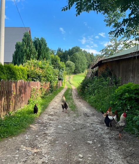 Lato w górach 🥾⛰️🔆 summer holidays in poland, central europe, eastern european farm holidays, walks, southern poland, Eastern European Summer, Poland Countryside, Poland Aesthetics, Polish Countryside, Poland Summer, Poland Aesthetic, Poland Culture, Poland Country, European Village