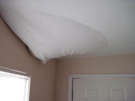 water bubble in a ceiling caused by a roof leak Roof Leak, Ice Dams, Maple Grove, Water Bubbles, White Ceiling, Decorating Blogs, Home Repair, Plumbing, Bed Pillows